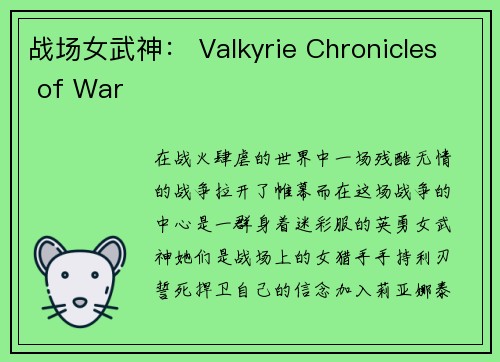战场女武神： Valkyrie Chronicles of War